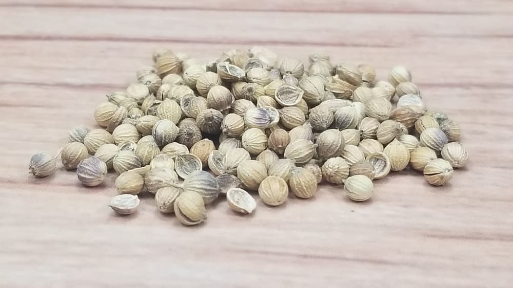 Pile of Coriander Seeds