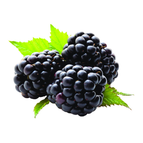 Blackberries