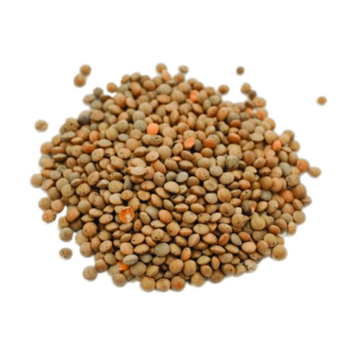 Pile of Brown Lentils