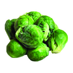 Brussels Sprout