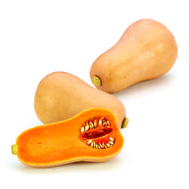 Butternut Squash