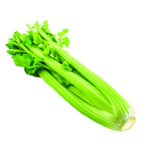 Celery