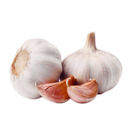 garlic