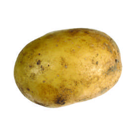 Potato