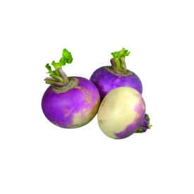 Turnip