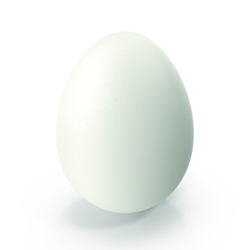 Grade A White Eggs