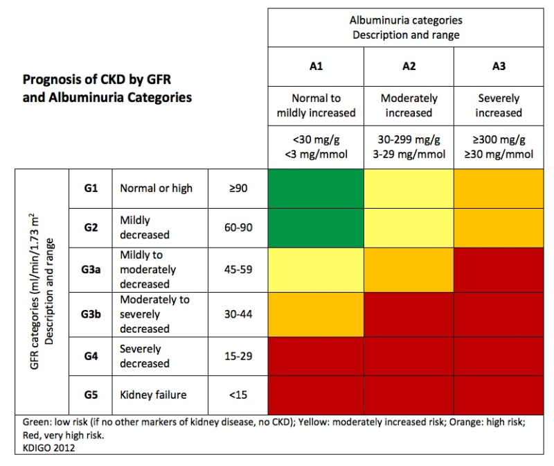 Kidney Function Test Normal Values Chart