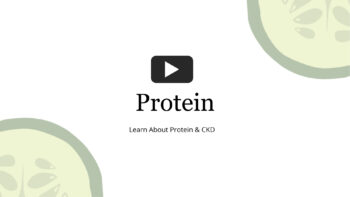 Cover Photo for Video Regarding Protein for Kidney Health